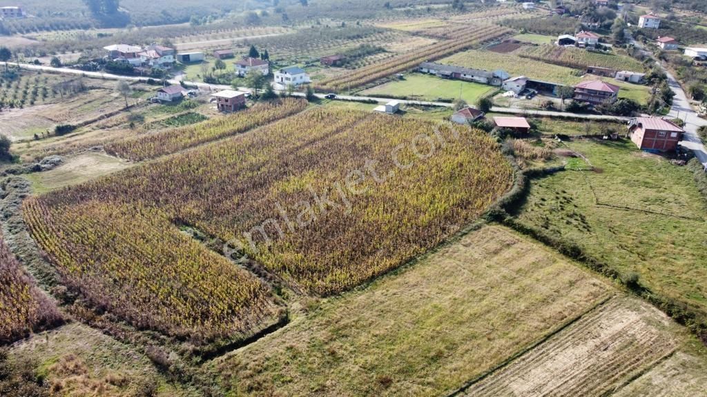 Kaynarca Cebek Ana Asfalt Cepheli 16139 M2 Düz Tarla - Görsel 7