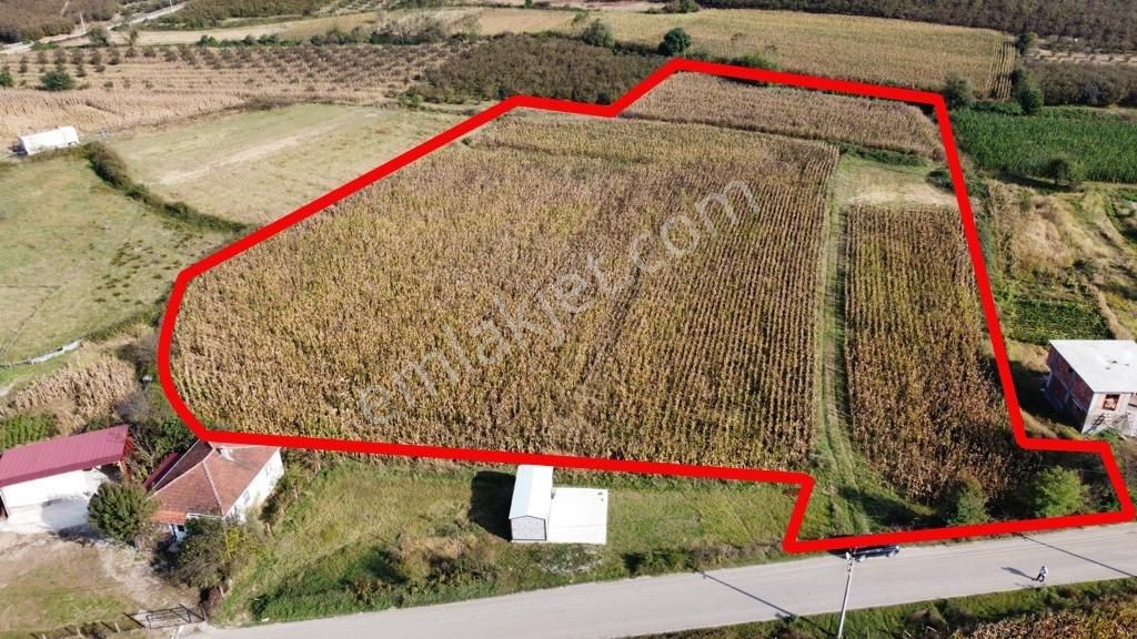 Kaynarca Cebek Ana Asfalt Cepheli 16139 M2 Düz Tarla