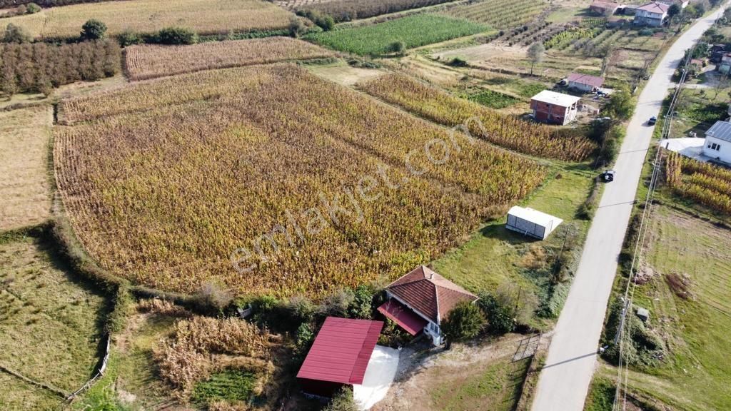 Kaynarca Cebek Ana Asfalt Cepheli 16139 M2 Düz Tarla - Görsel 6