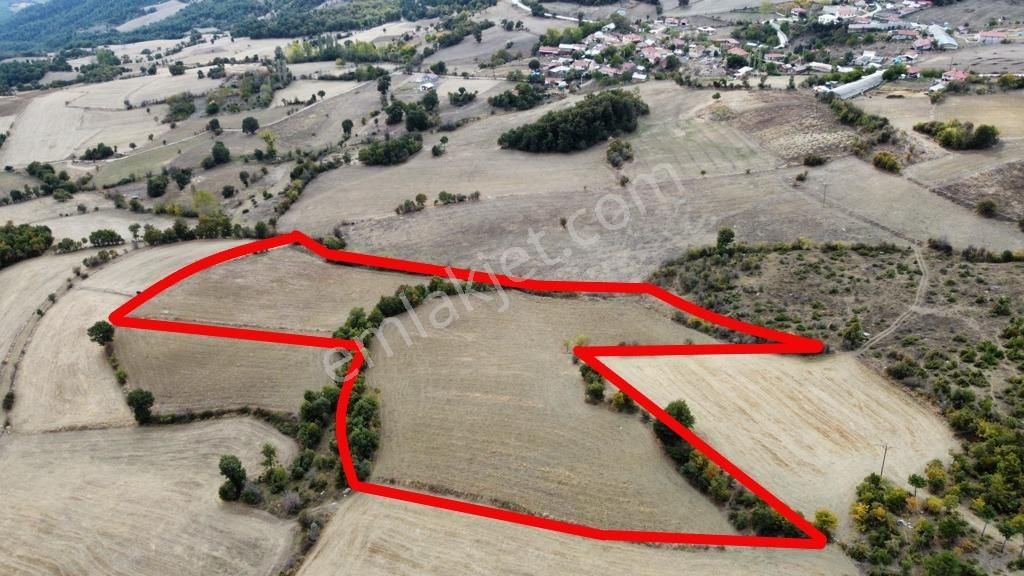 Taraklı Avdan 8508 M2 Köy Merkezine Yakın Resmi Yol Cepheli - Görsel 5