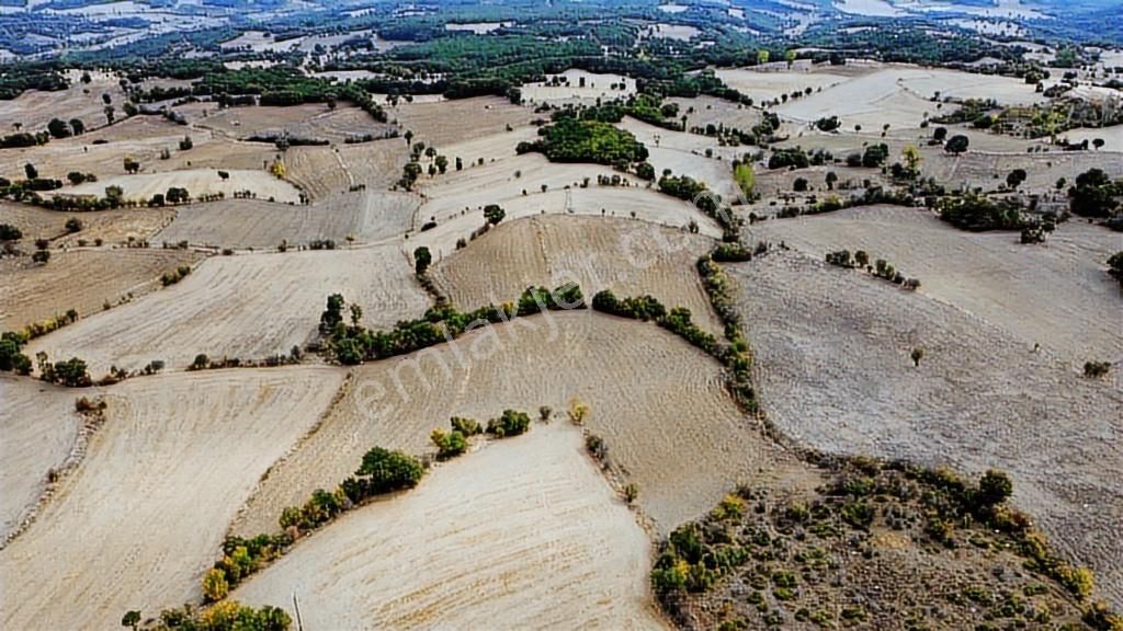 Taraklı Avdan 8508 M2 Köy Merkezine Yakın Resmi Yol Cepheli - Görsel 4