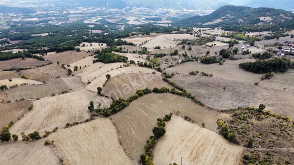 Taraklı Avdan 8508 M2 Köy Merkezine Yakın Resmi Yol Cepheli - Görsel 2
