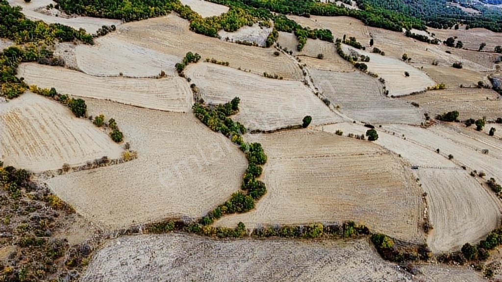 Taraklı Avdan 8508 M2 Köy Merkezine Yakın Resmi Yol Cepheli - Görsel 7