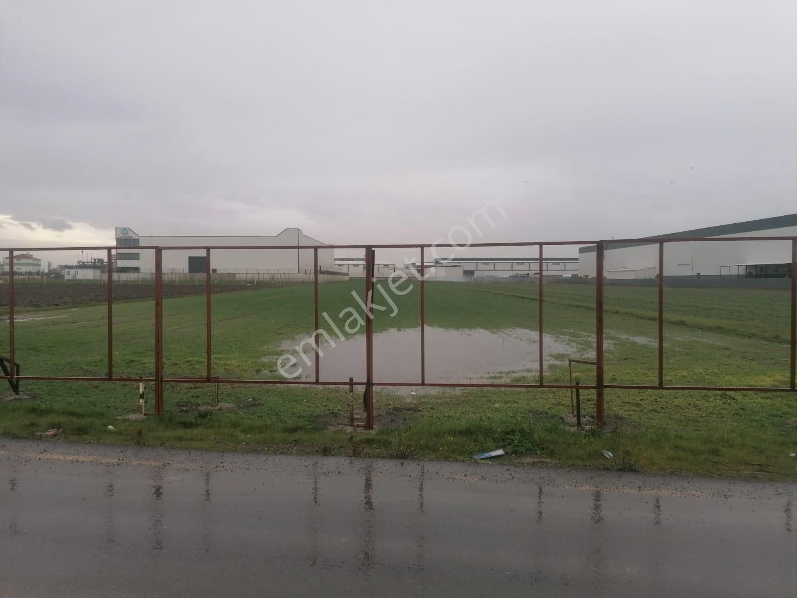 Tekirdağ Ergene Marmaracık'ta Satılık 3100 M2 Sanayi Arsası - Görsel 3