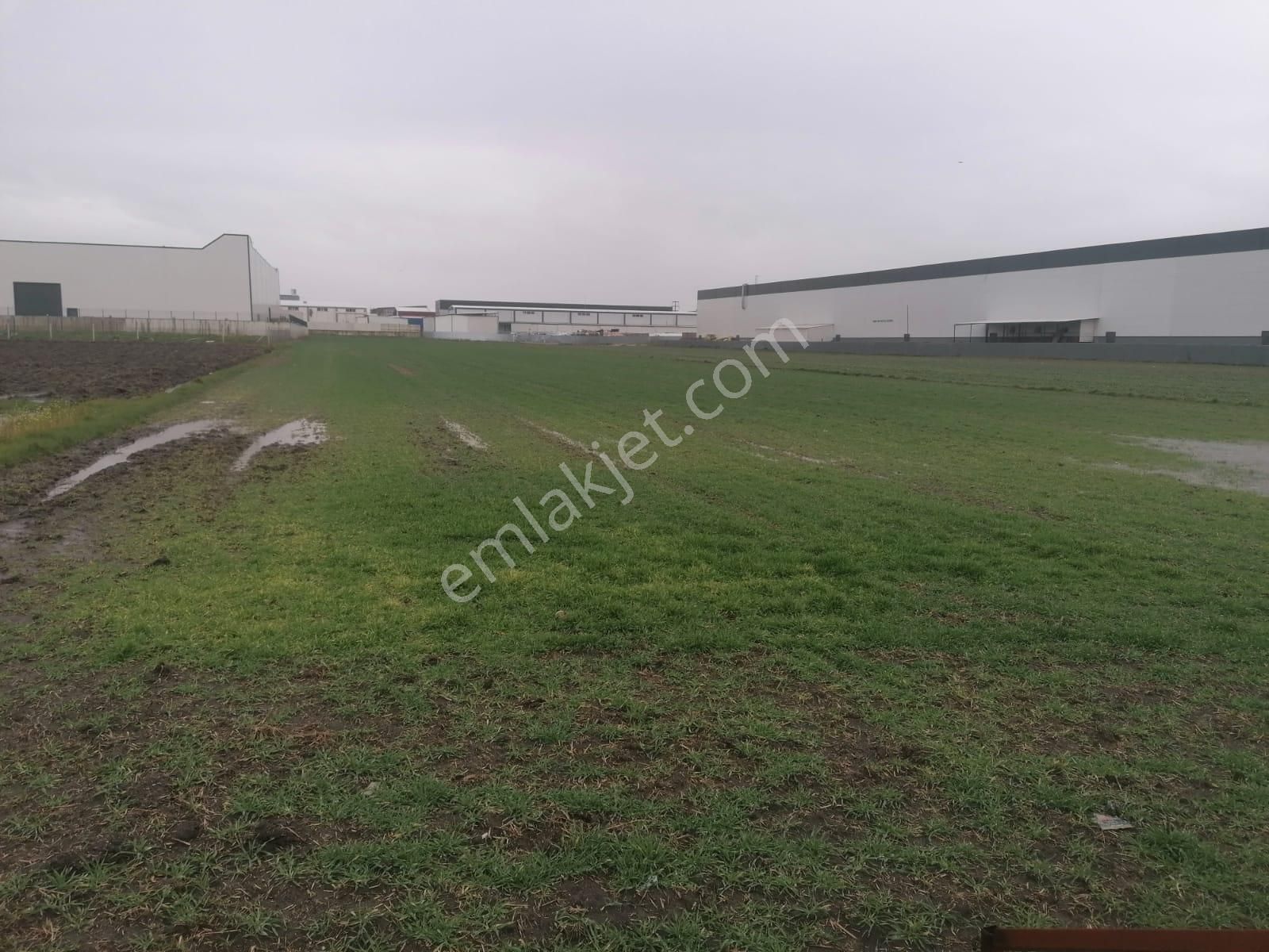 Tekirdağ Ergene Marmaracık'ta Satılık 3100 M2 Sanayi Arsası - Görsel 4