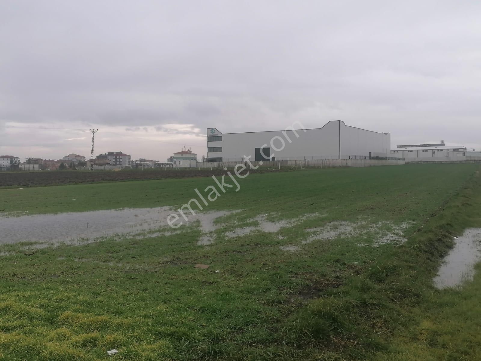 Tekirdağ Ergene Marmaracık'ta Satılık 3100 M2 Sanayi Arsası - Görsel 9