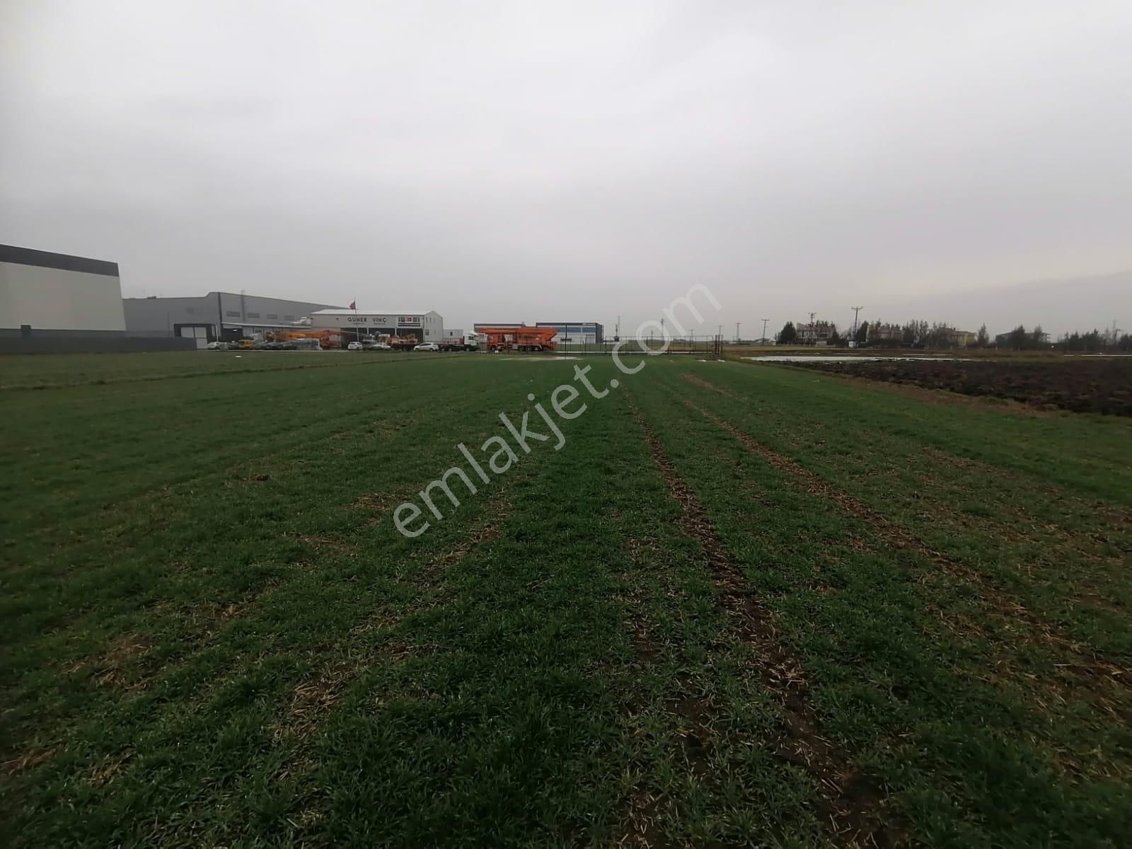 Tekirdağ Ergene Marmaracık'ta Satılık 3100 M2 Sanayi Arsası - Görsel 2