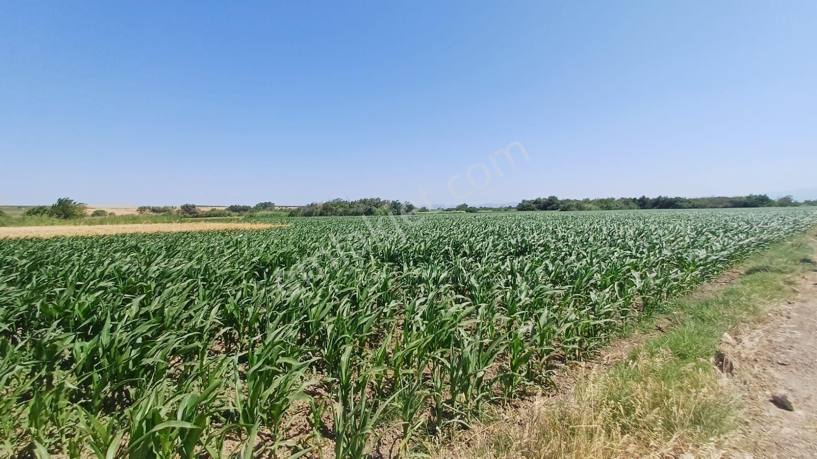 Bursa Karacabey Harmanlı 80m Yola Cepheli Yatırımlık Tarla - Görsel 27