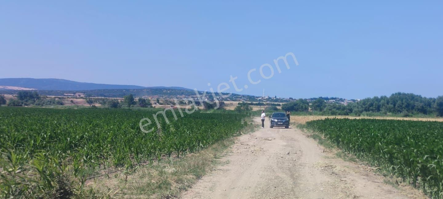 Bursa Karacabey Harmanlı 80m Yola Cepheli Yatırımlık Tarla - Görsel 21