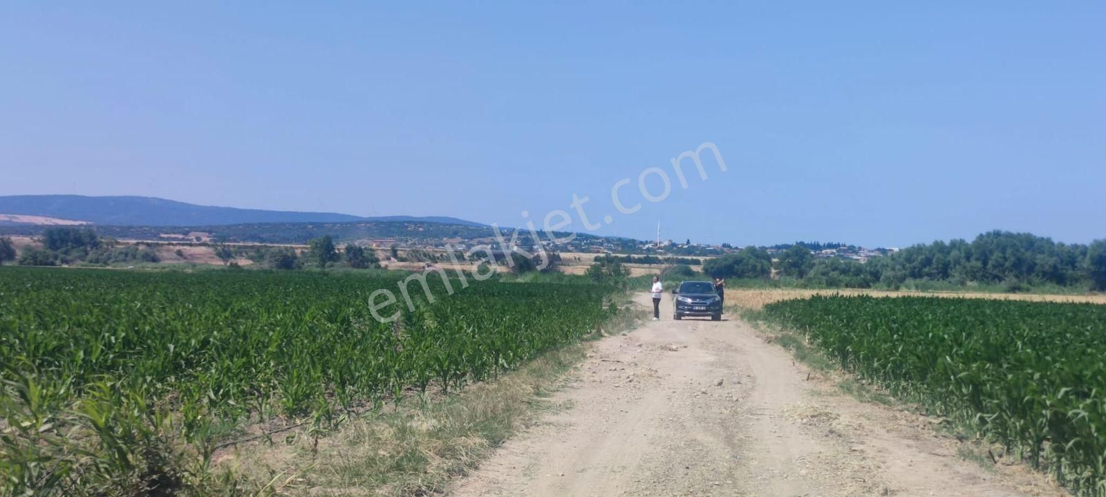 Bursa Karacabey Harmanlı 80m Yola Cepheli Yatırımlık Tarla - Görsel 7