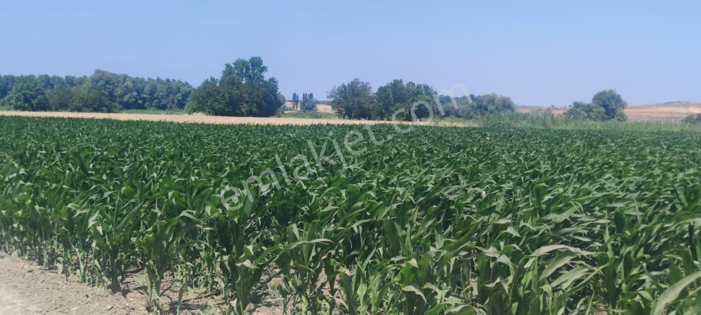 Bursa Karacabey Harmanlı 80m Yola Cepheli Yatırımlık Tarla - Görsel 17