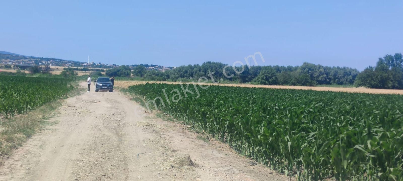 Bursa Karacabey Harmanlı 80m Yola Cepheli Yatırımlık Tarla - Görsel 20