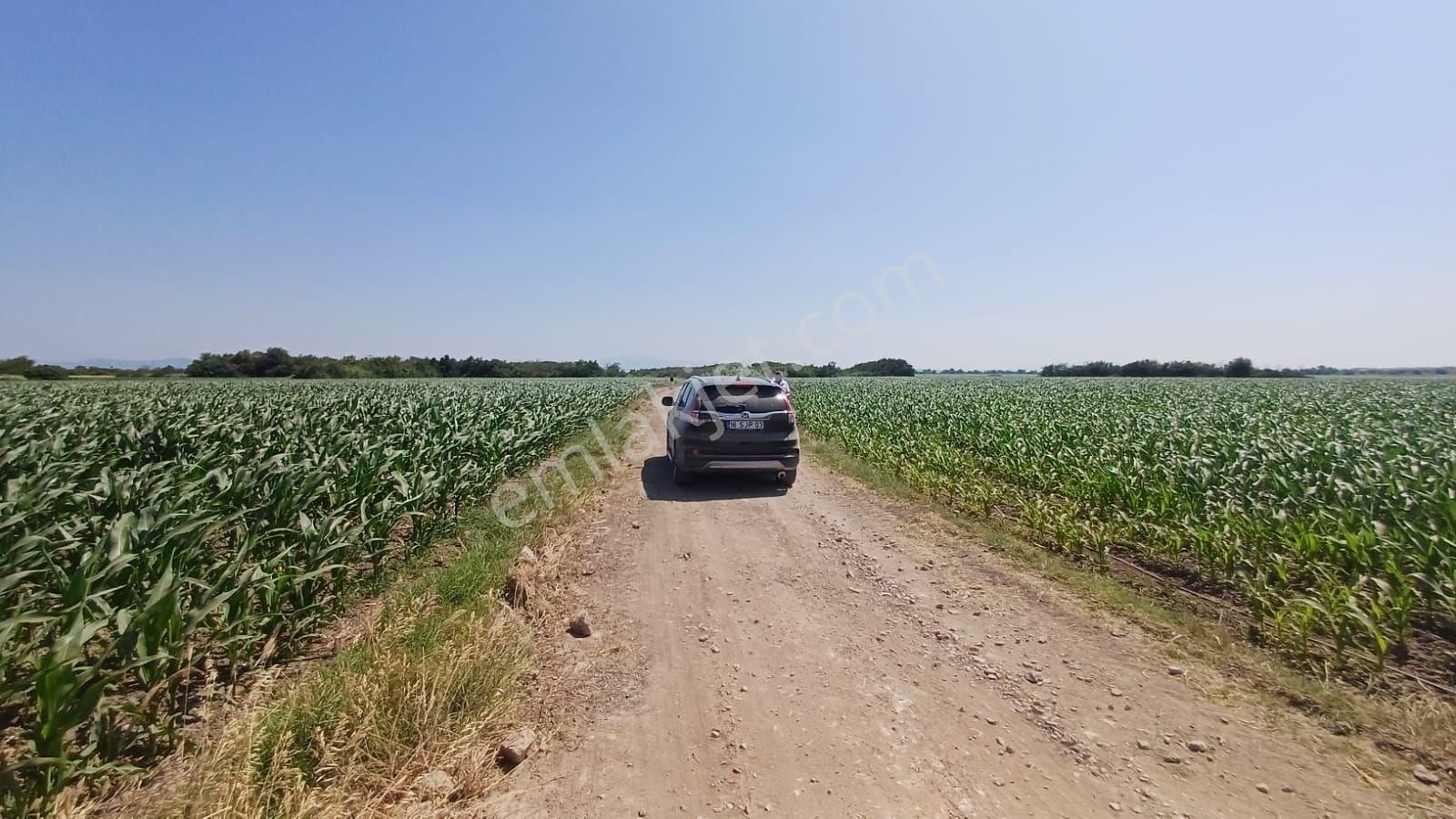 Bursa Karacabey Harmanlı 80m Yola Cepheli Yatırımlık Tarla - Görsel 28