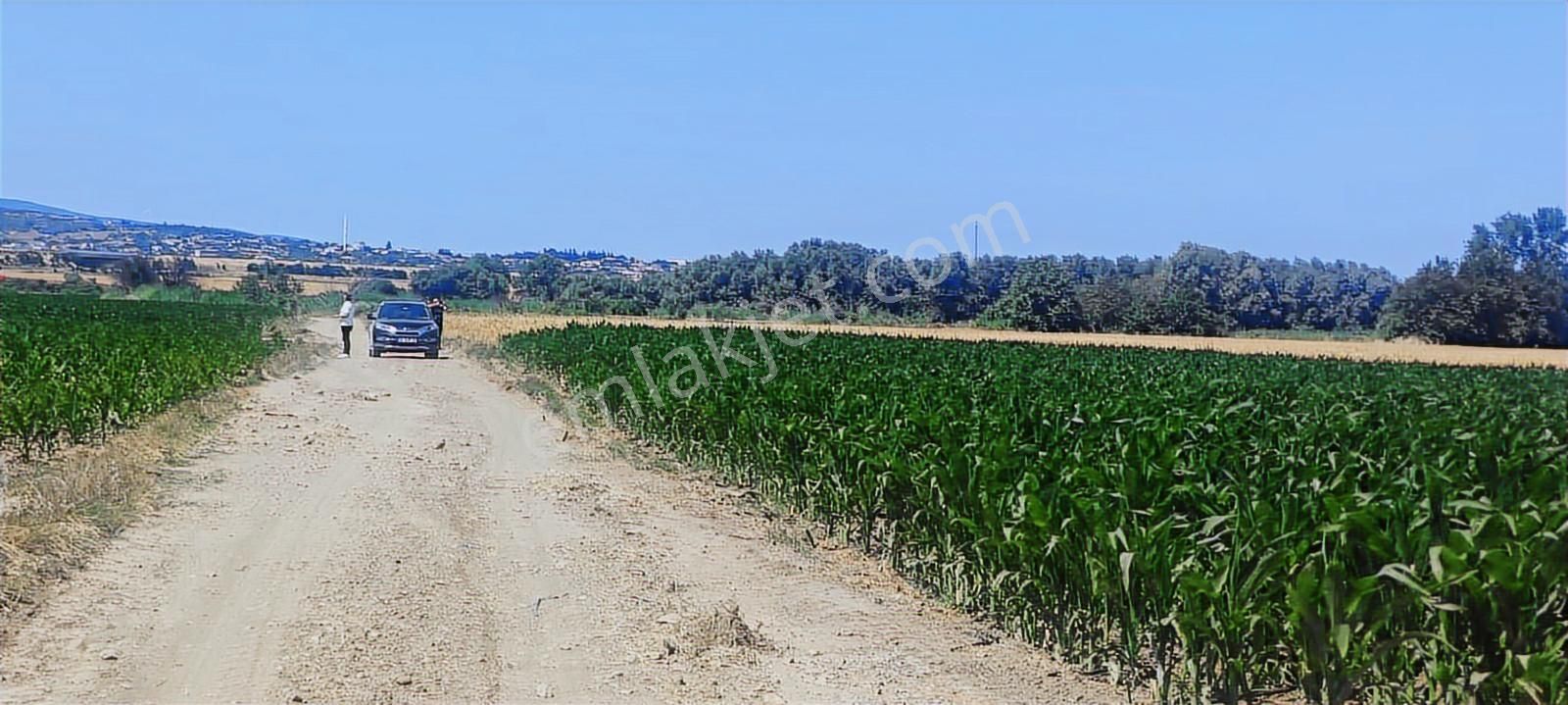 Bursa Karacabey Harmanlı 80m Yola Cepheli Yatırımlık Tarla