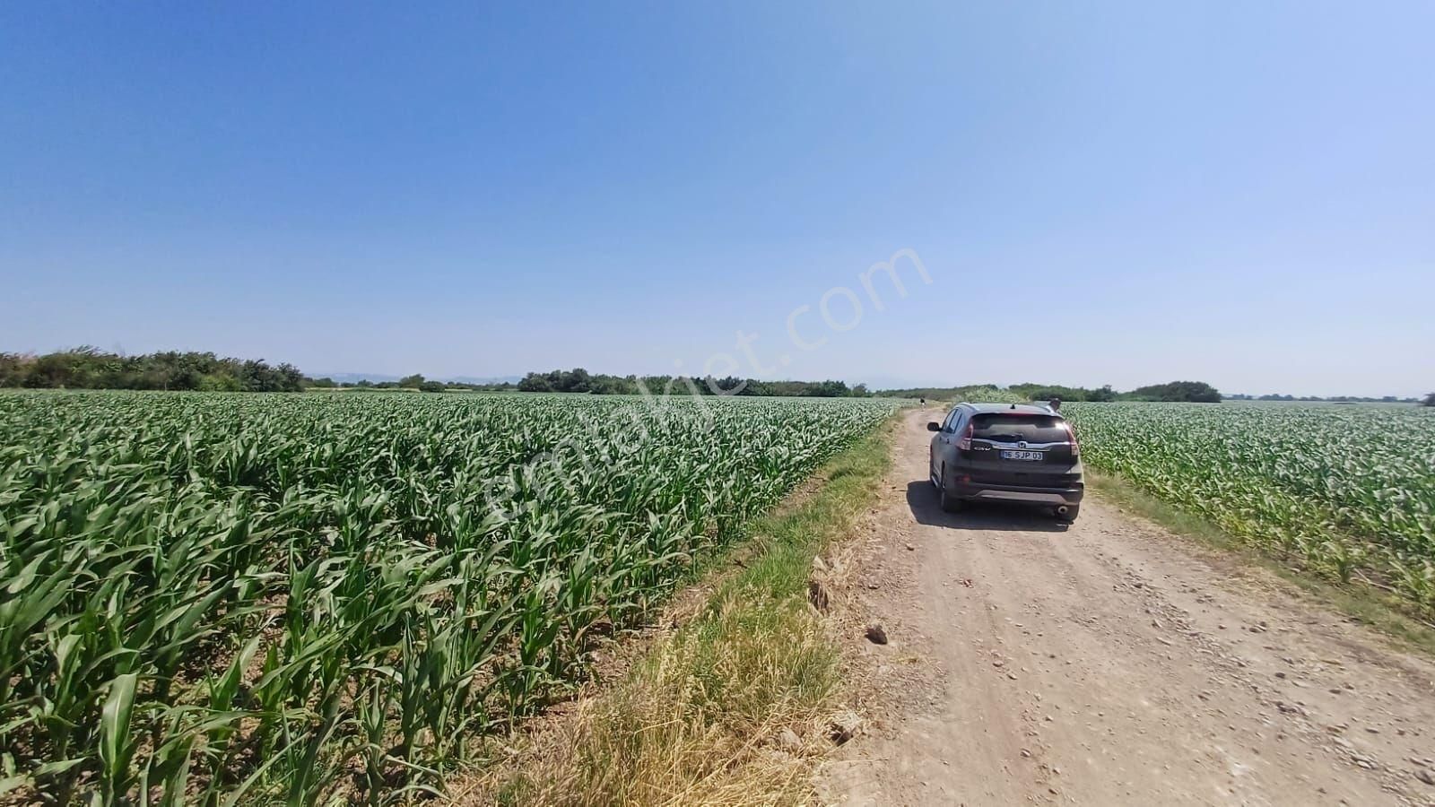 Bursa Karacabey Harmanlı 80m Yola Cepheli Yatırımlık Tarla - Görsel 32