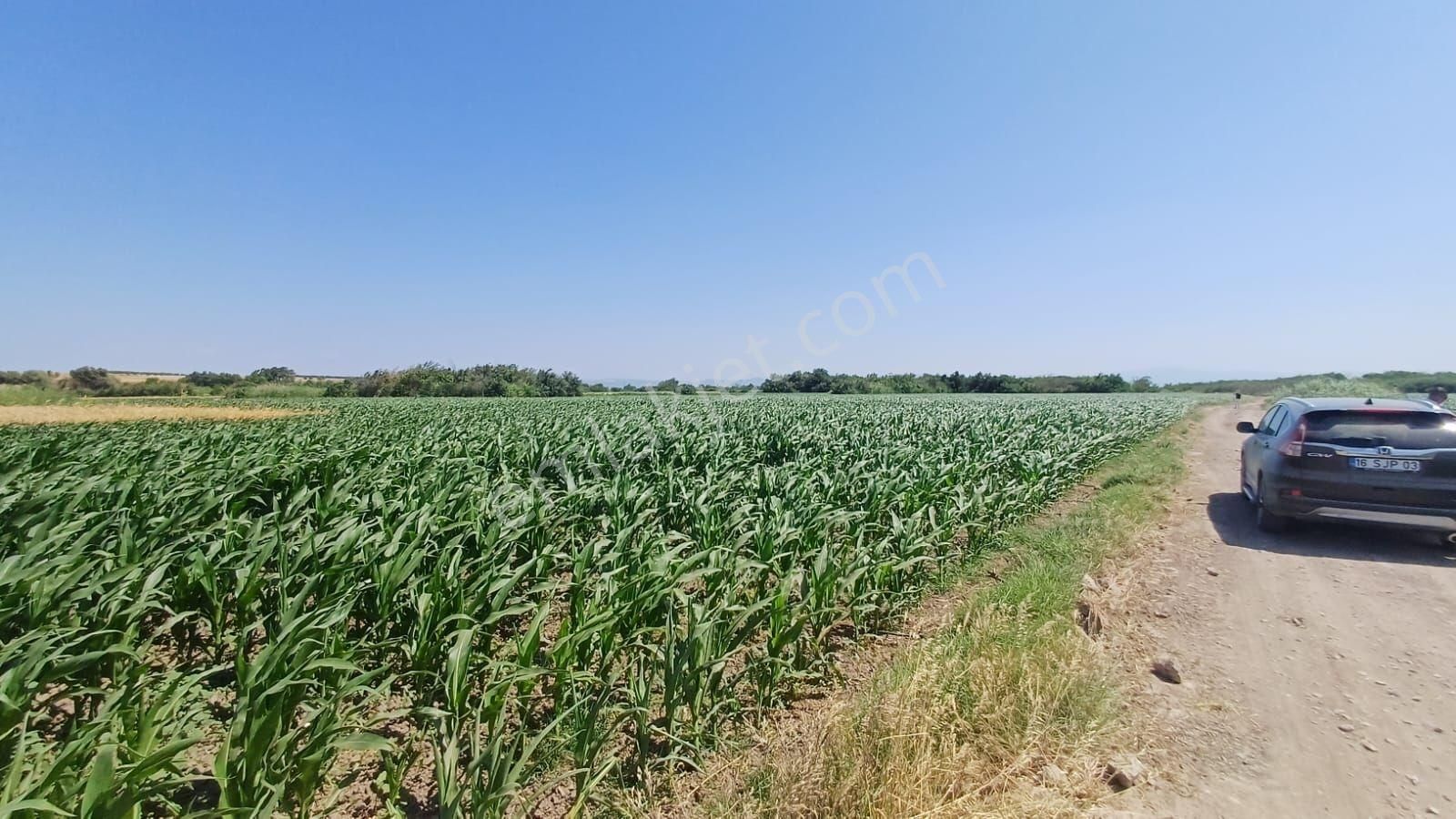 Bursa Karacabey Harmanlı 80m Yola Cepheli Yatırımlık Tarla - Görsel 29