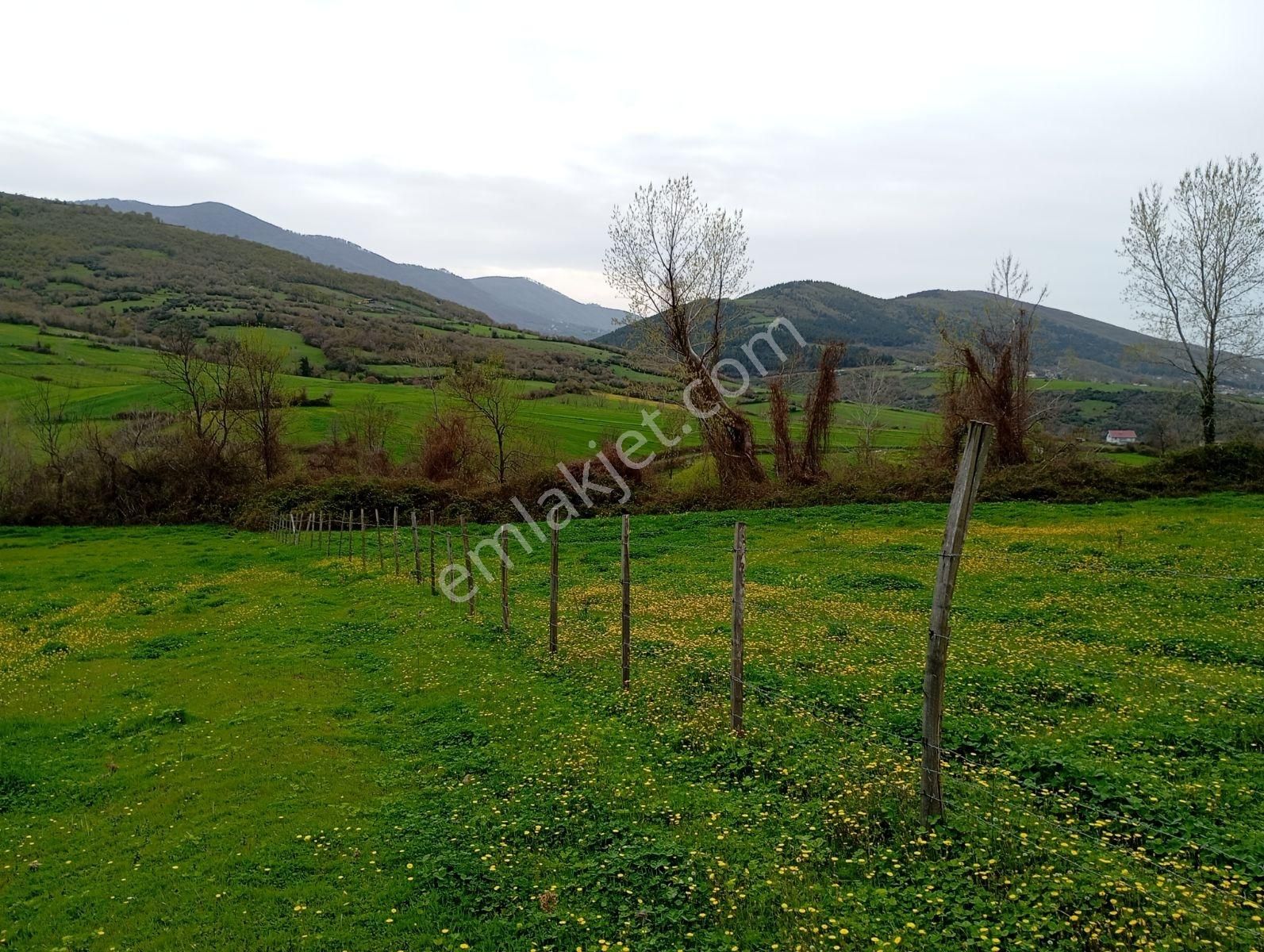 Mavi Atlas Gayrimenkul İncesu'da Îmar Sınırında Tek Tapulu Tarla - Görsel 20