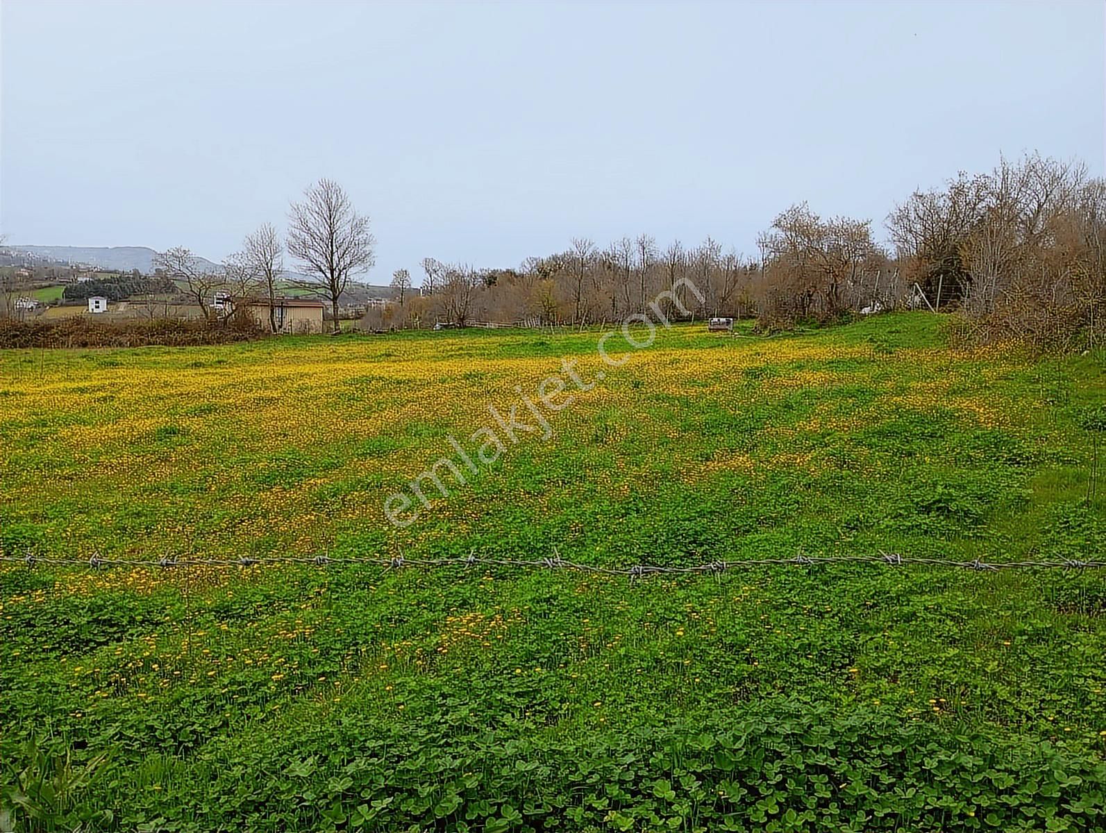 Mavi Atlas Gayrimenkul İncesu'da Îmar Sınırında Tek Tapulu Tarla - Görsel 22