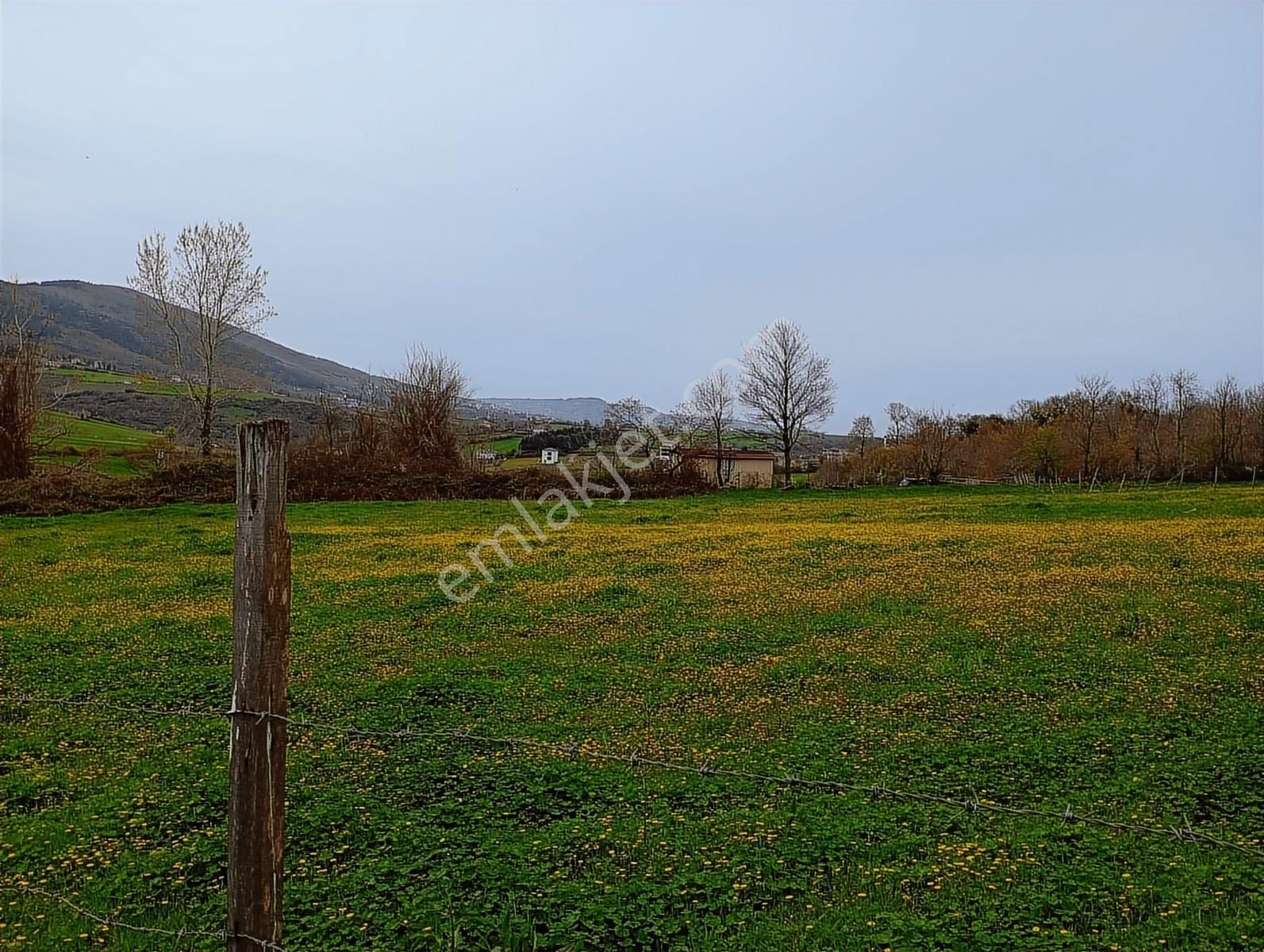 Mavi Atlas Gayrimenkul İncesu'da Îmar Sınırında Tek Tapulu Tarla - Görsel 7