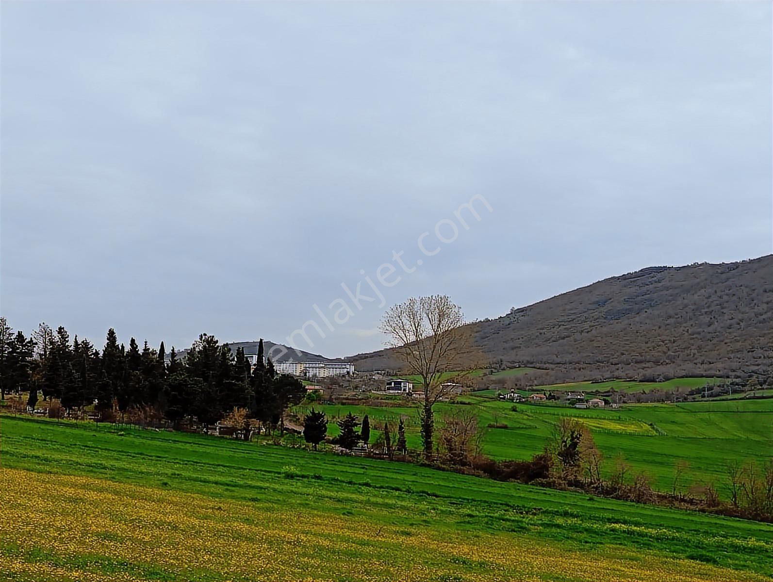 Mavi Atlas Gayrimenkul İncesu'da Îmar Sınırında Tek Tapulu Tarla - Görsel 13