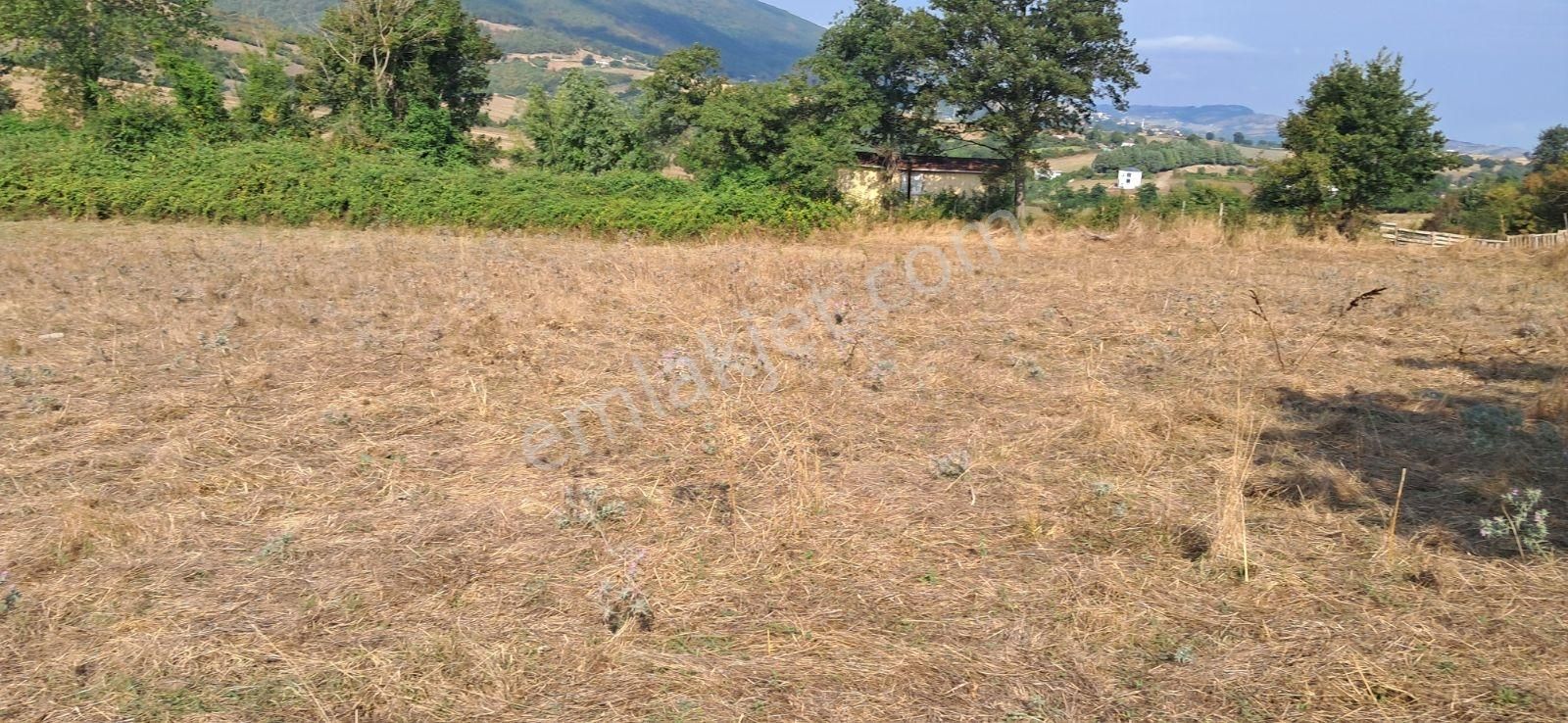 Mavi Atlas Gayrimenkul İncesu'da Îmar Sınırında Tek Tapulu Tarla - Görsel 14