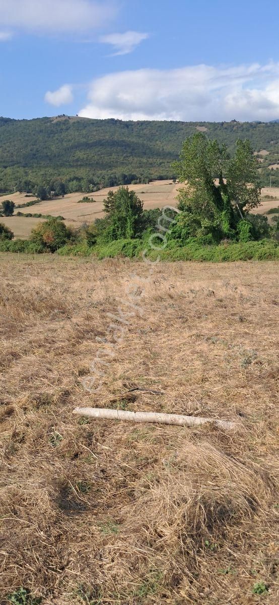 Mavi Atlas Gayrimenkul İncesu'da Îmar Sınırında Tek Tapulu Tarla - Görsel 19