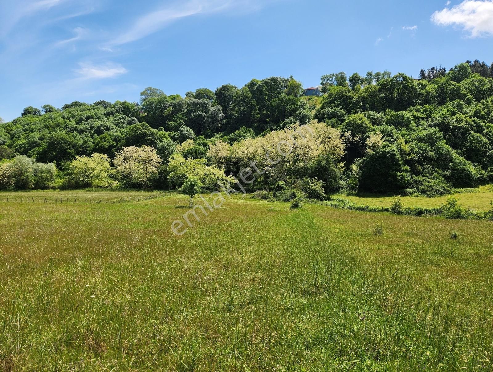 Mavi Atlas'tan Beylik'te Satılık Müstakil Tarla