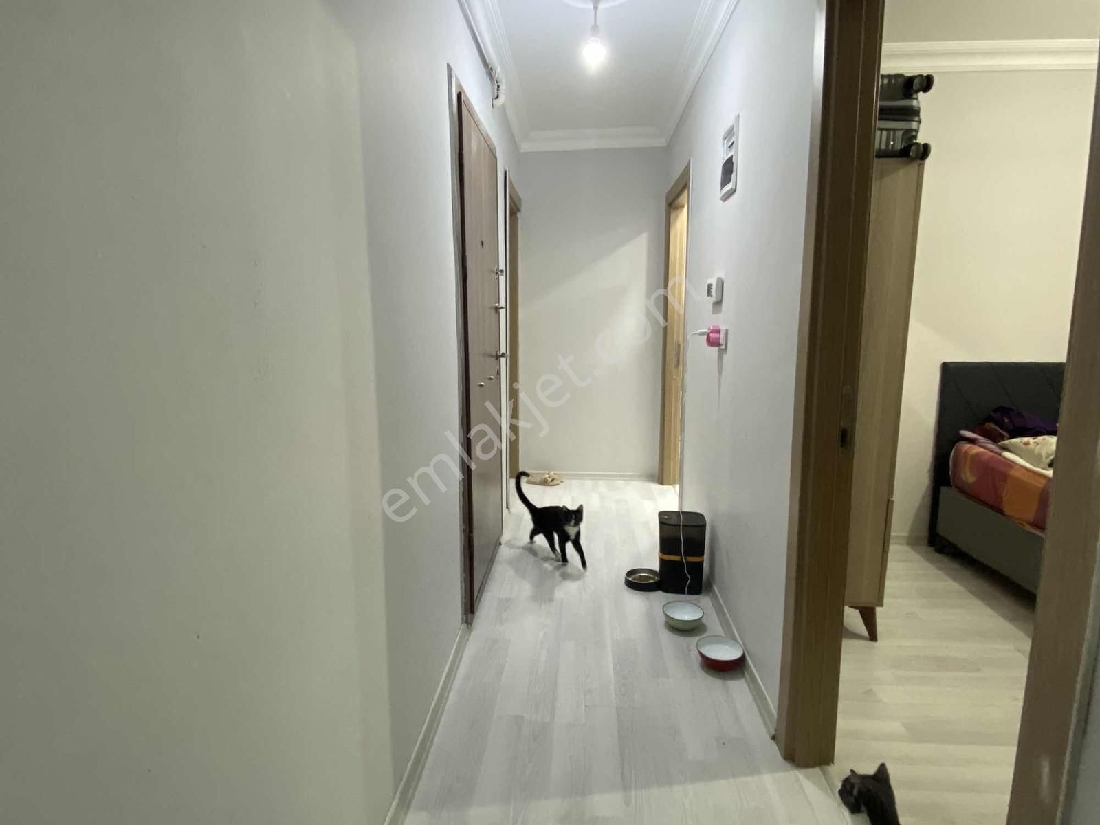 Sultanbeyli Fatih Mah. Güney Cephe 2+1 Arakat Fırsat Daire - Görsel 16