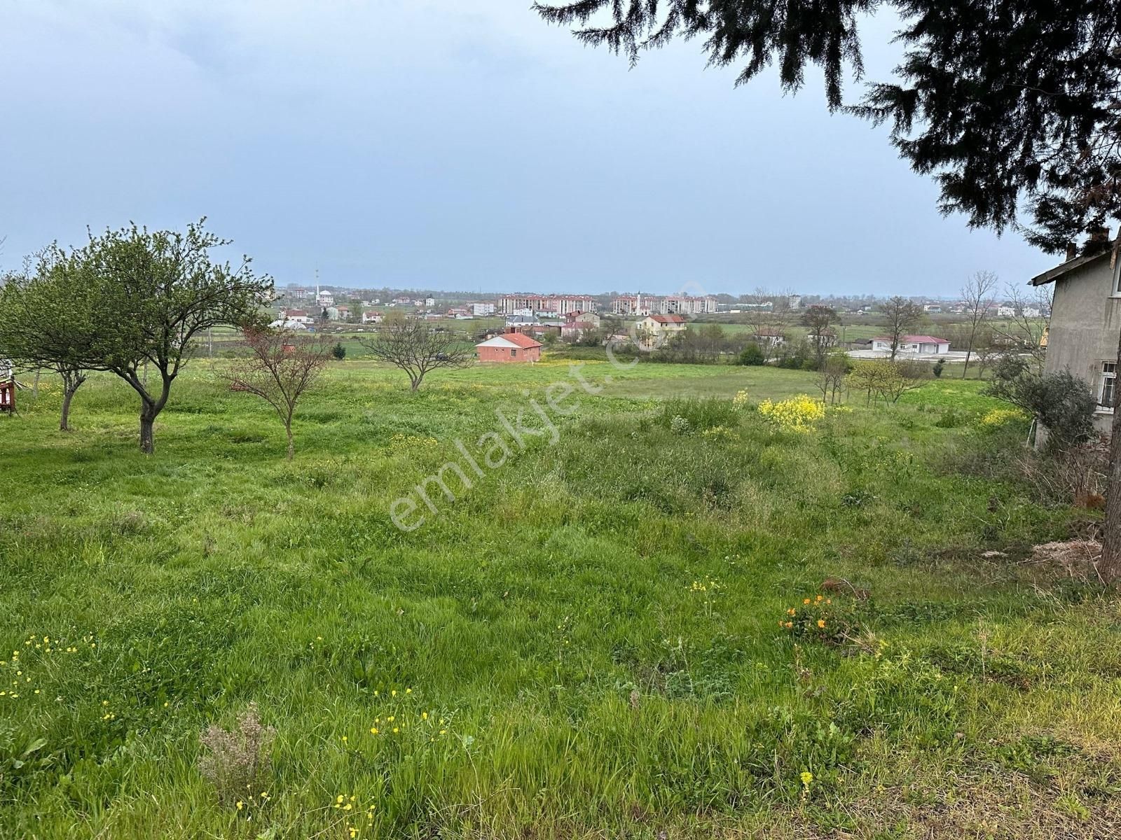 19 Mayıs Tokiye Çok Yakın Tek Tapu Tarla..