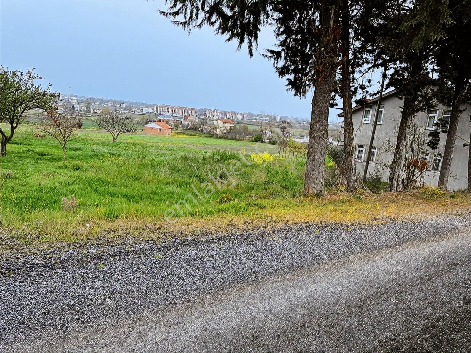 19 Mayıs Tokiye Çok Yakın Tek Tapu Tarla.. - Görsel 3