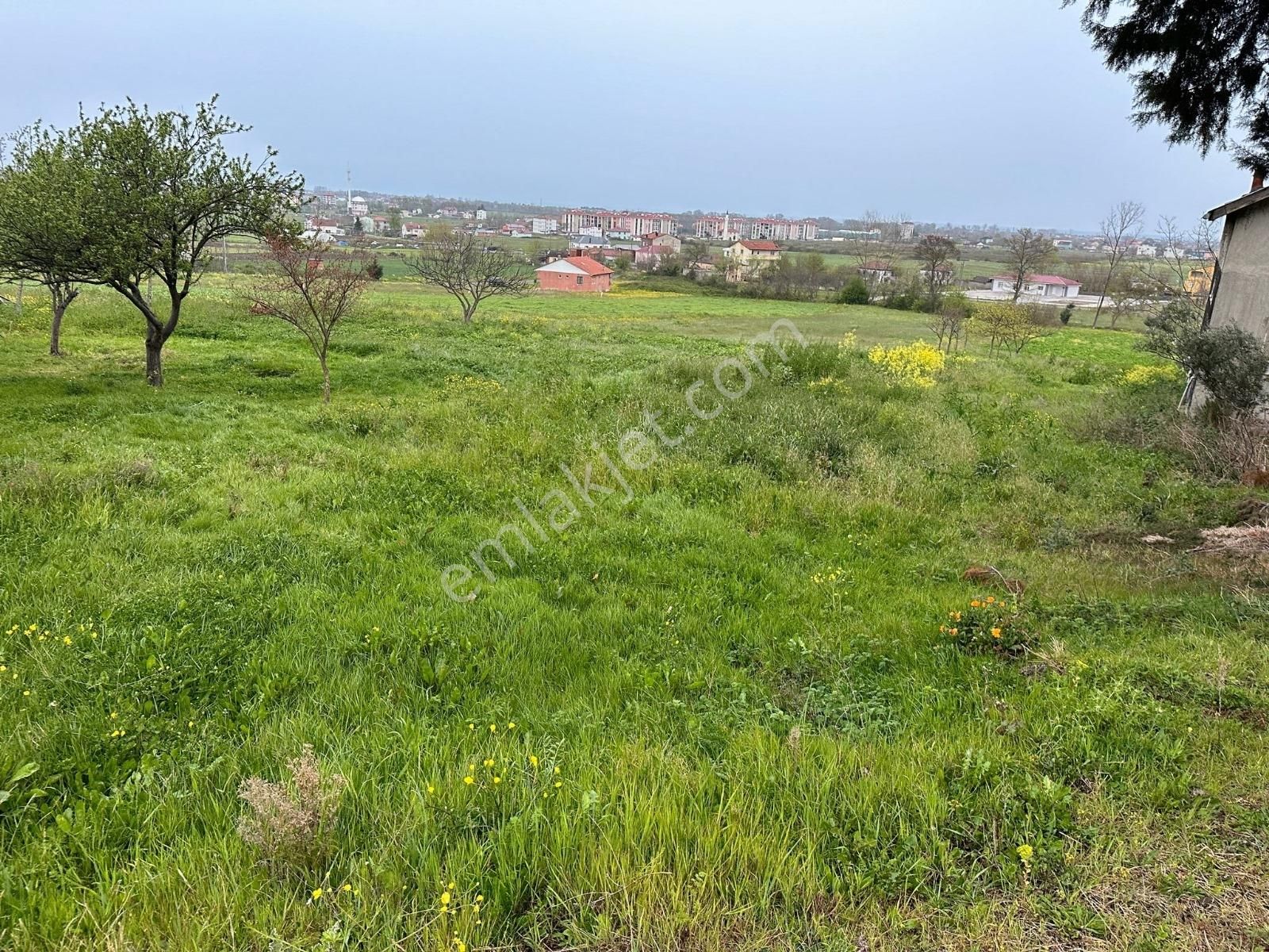 19 Mayıs Tokiye Çok Yakın Tek Tapu Tarla.. - Görsel 2