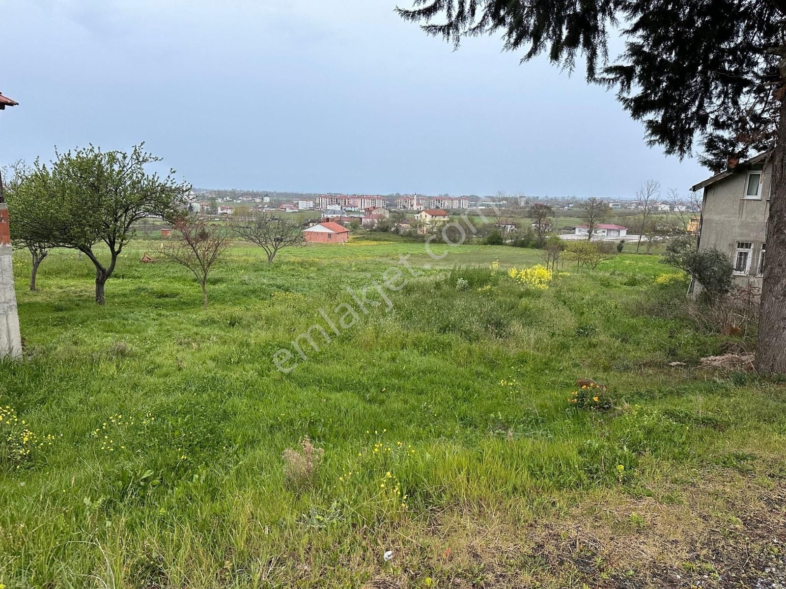 19 Mayıs Tokiye Çok Yakın Tek Tapu Tarla.. - Görsel 6