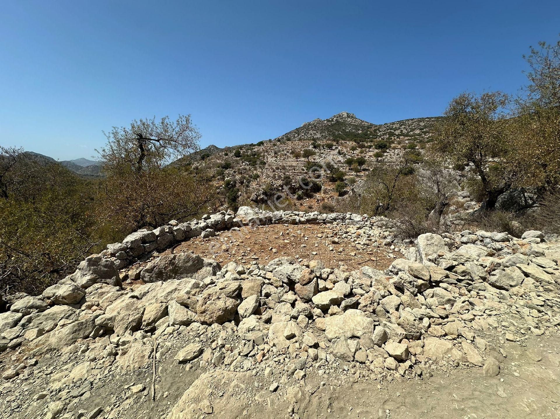 Joker: Marmaris Taşlıca Yol Cephe Sınırları Taşla Çevrili Tarla - Görsel 2