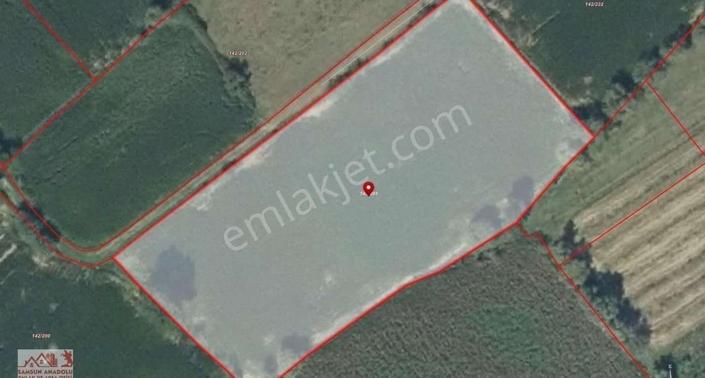 Samsun Çarşamba'da Satılık 3 Villalık Arsa/tarla