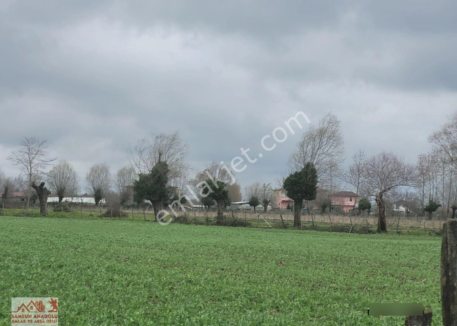 Samsun Çarşamba'da Satılık 3 Villalık Arsa/tarla - Görsel 3
