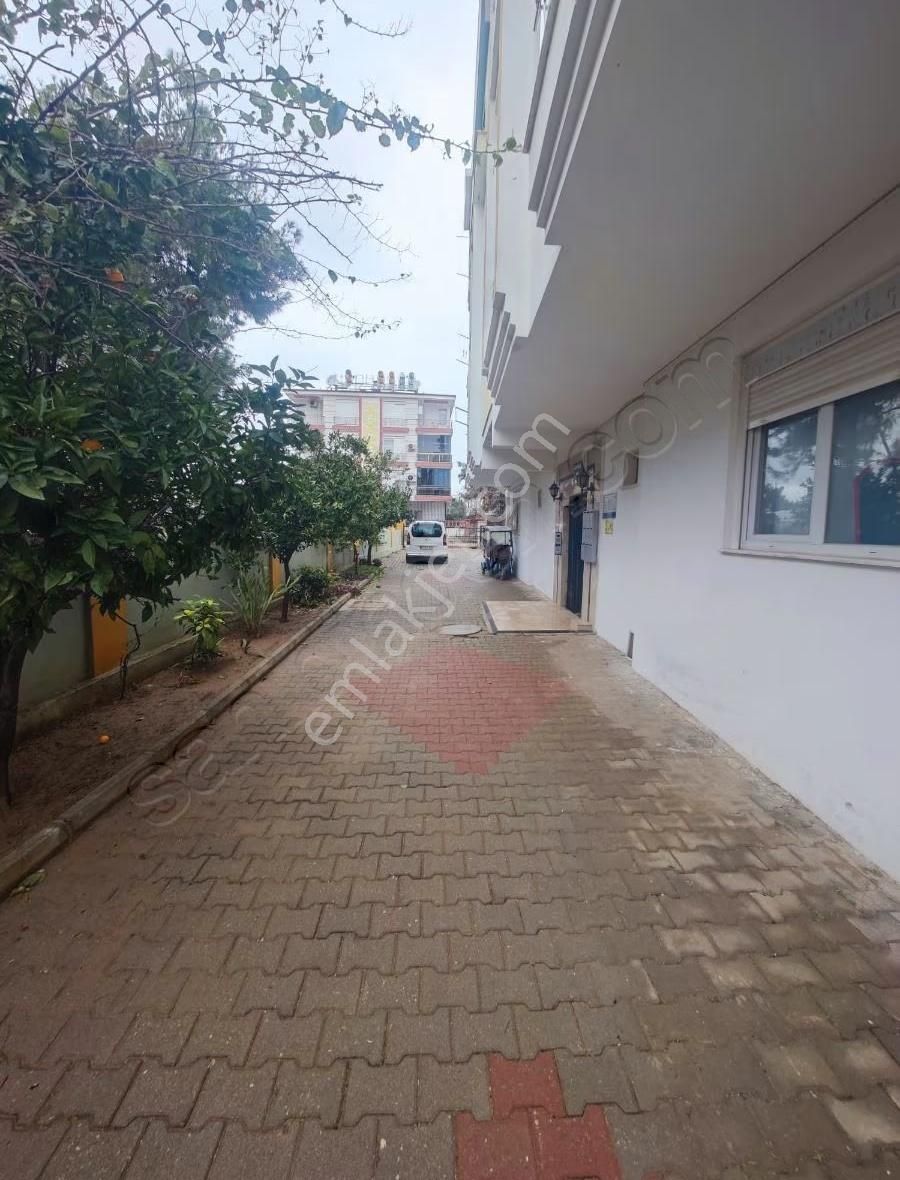 Aydoğmuş'ta Full Eşyalı Kiralık 3+1 Daire - Görsel 5