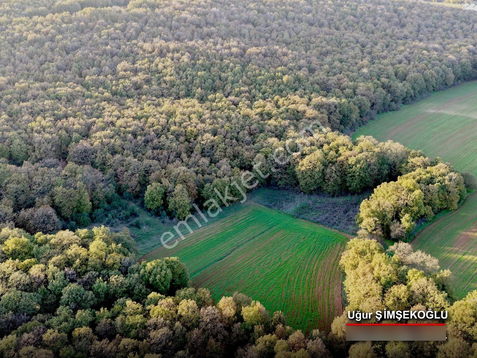 Tbc Gayrimenkul | Gebze Kadıllı'da 1.142 M² Satılık Tarla - Görsel 12