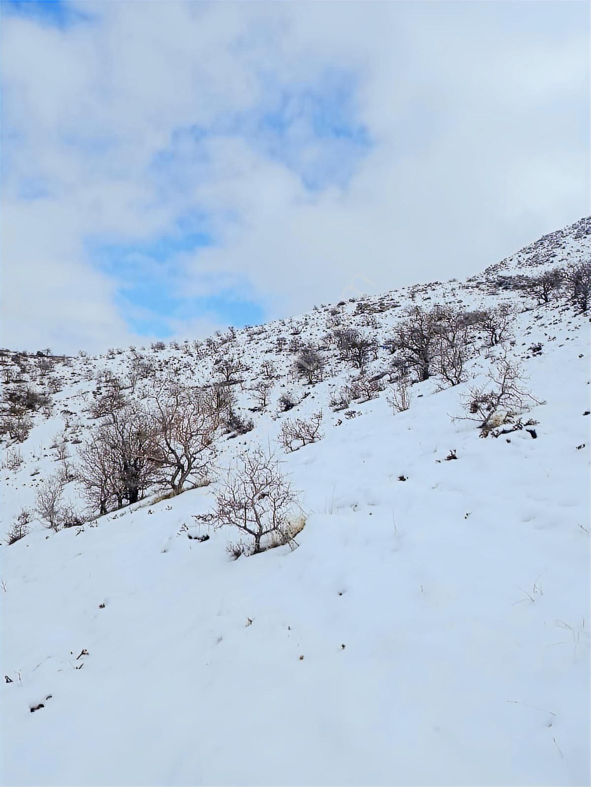 Sulutas Bağlar Mevkiinde Çok Güzel Konumda Satılık 5335 M2 - Görsel 23