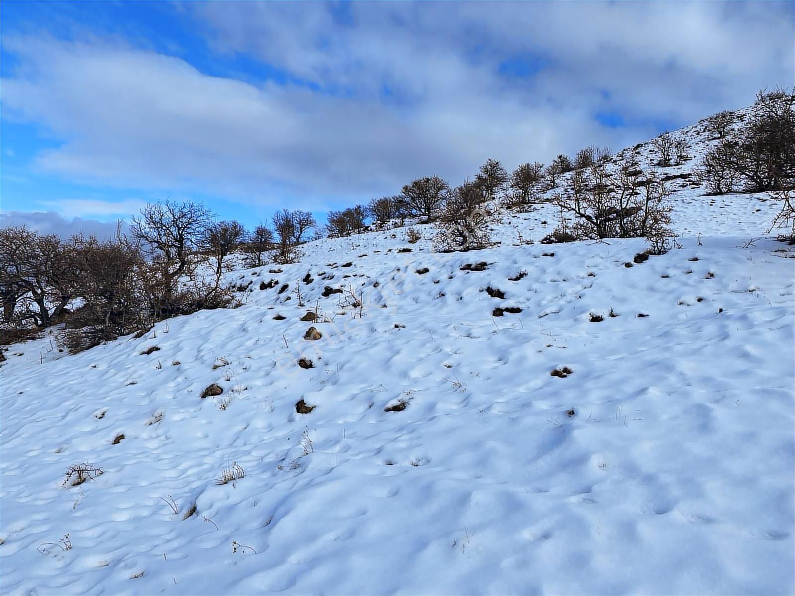 Sulutas Bağlar Mevkiinde Çok Güzel Konumda Satılık 5335 M2 - Görsel 20