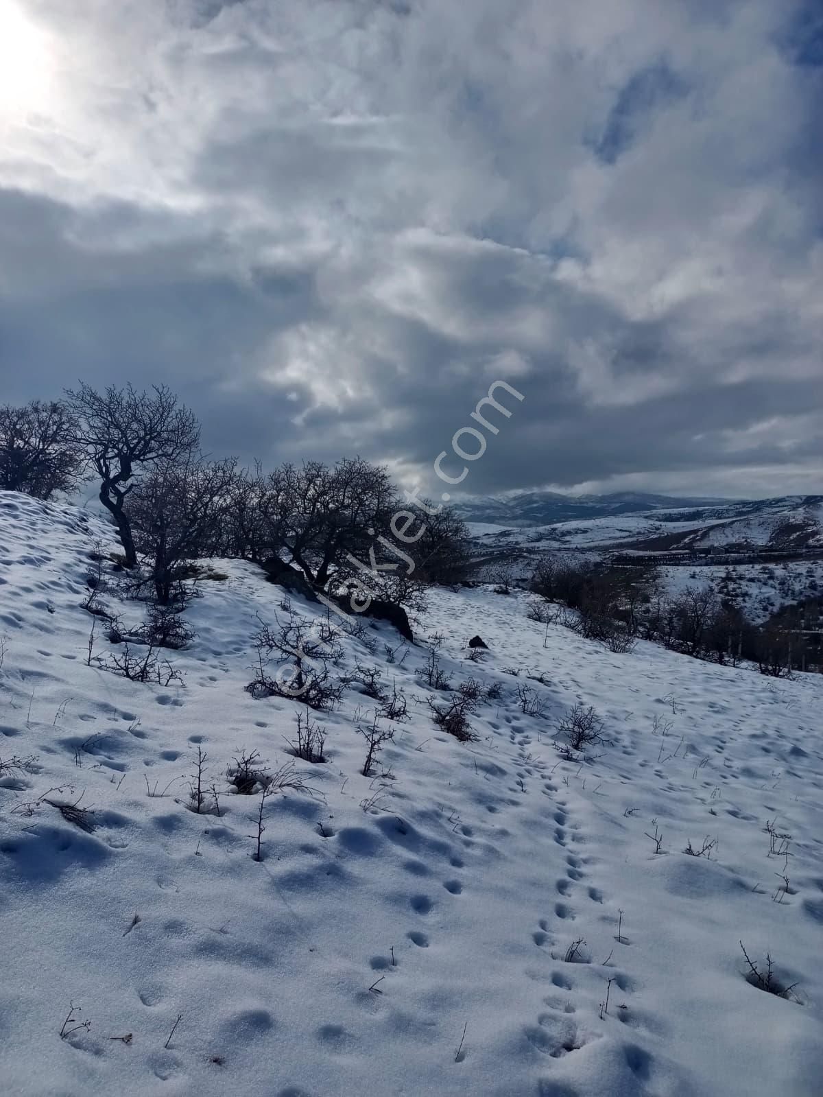 Sulutas Bağlar Mevkiinde Çok Güzel Konumda Satılık 5335 M2 - Görsel 18