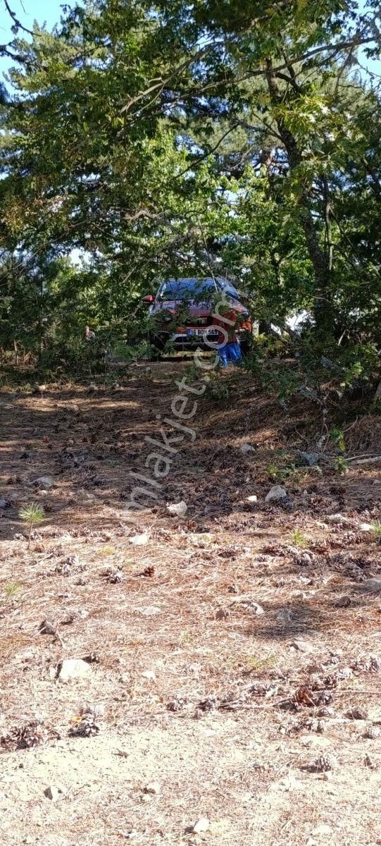 Bursa Küçük Delillerde Manzaralı Satılık Tarla - Görsel 5