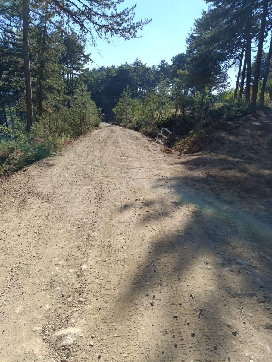 Bursa Küçük Delillerde Manzaralı Satılık Tarla