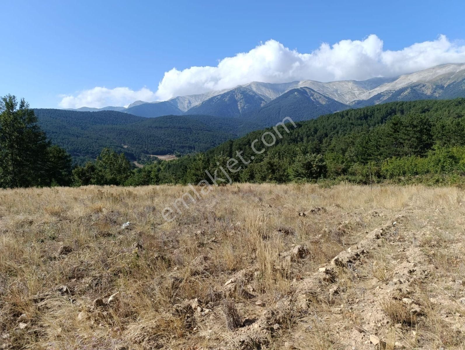 Bursa Küçük Delillerde Manzaralı Satılık Tarla - Görsel 3