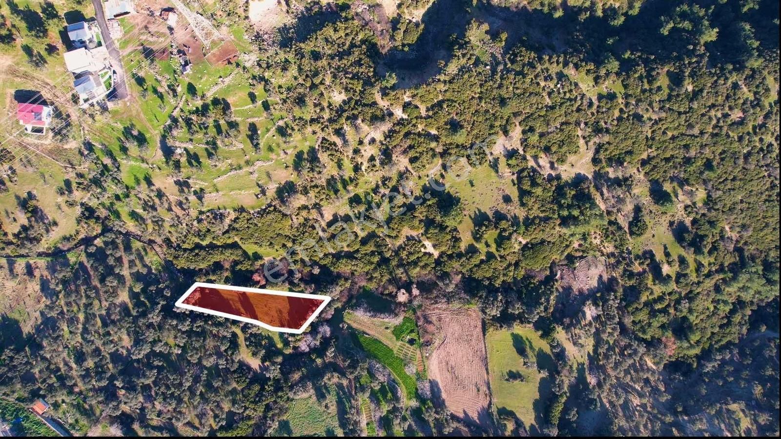 Eğriderede Tek Tapu Arazi - Görsel 5