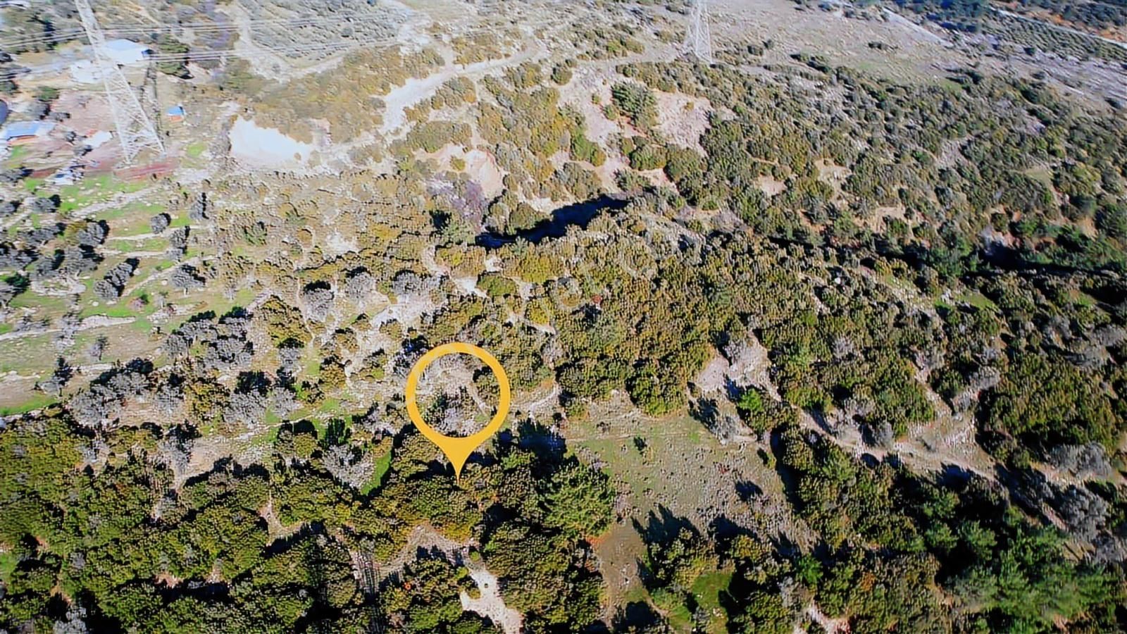 Eğriderede Tek Tapu Arazi - Görsel 2