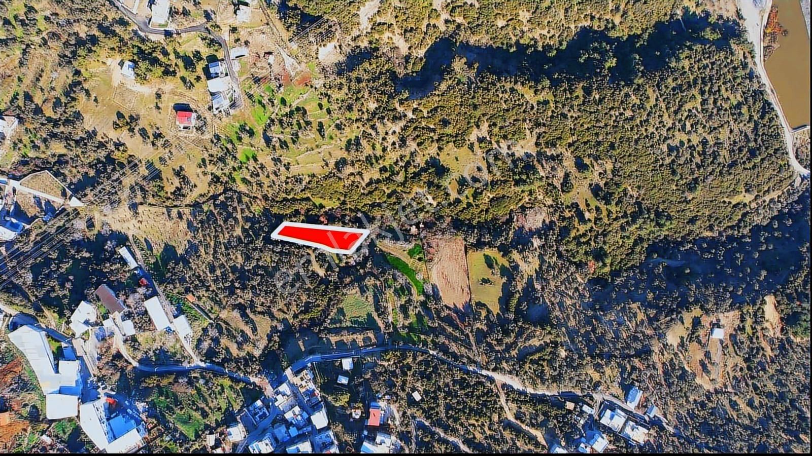 Eğriderede Tek Tapu Arazi - Görsel 9