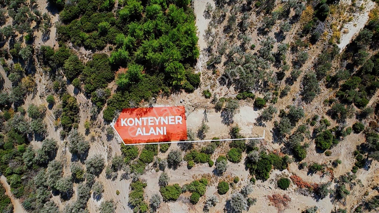 Bornova Eğridere Kupon Arazi - Görsel 6