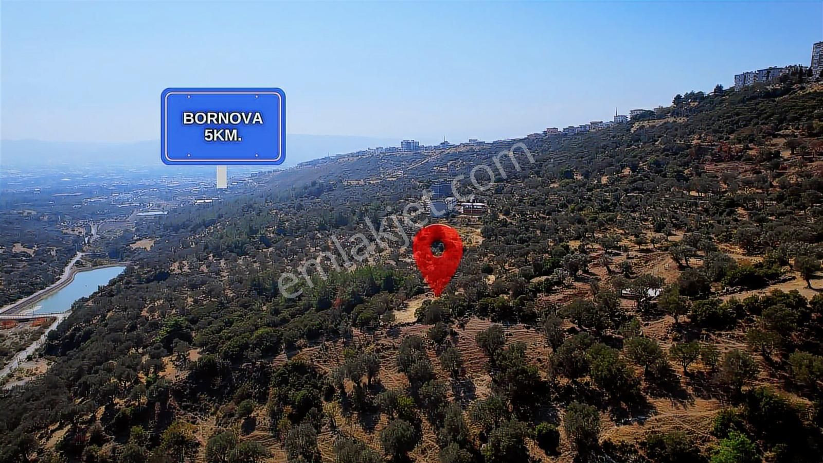 Bornova Eğridere Kupon Arazi - Görsel 8