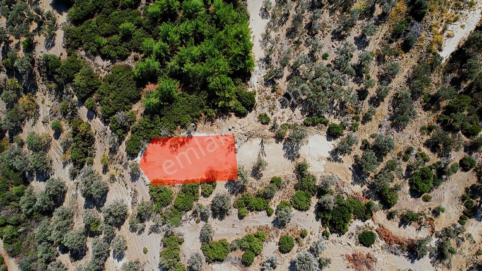 Bornova Eğridere Kupon Arazi