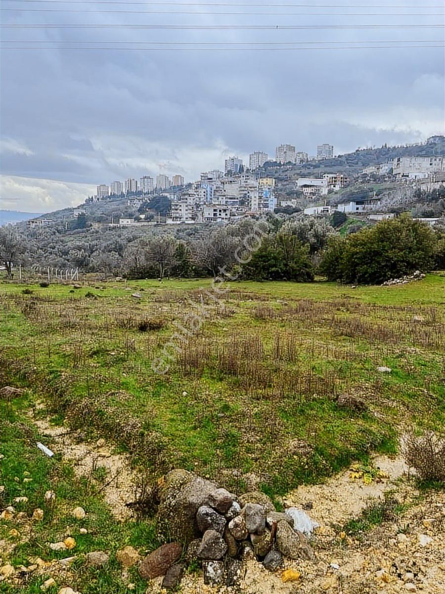 Bornova Egridere Mah Satılık 525 Mt - Görsel 10